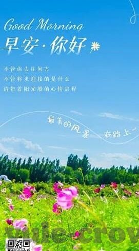 韩国女子足球 联赛比分-韩国女子足球联赛，比分背后的竞技魅力与女足发展启示